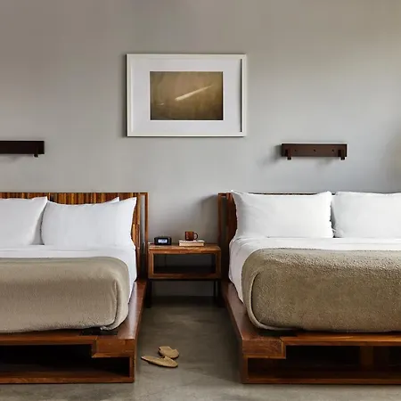 The Collective Paper Factory 4*