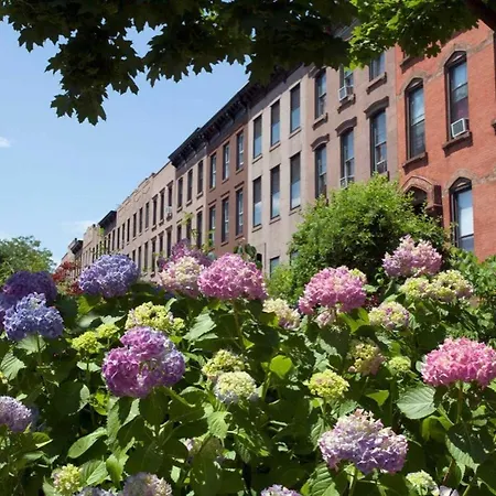 Apartment Brand New Cozy 2 Bedroom In Carroll Gardens *