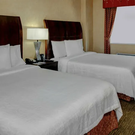Hilton Garden New York/manhattan-chelsea 3* New York
