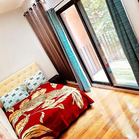 Apartment Starlux *