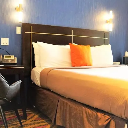 Nesva - Vista (adults Only) New York