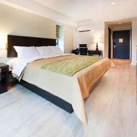 Comfort & - Kew Gardens Near La Guardia Airport