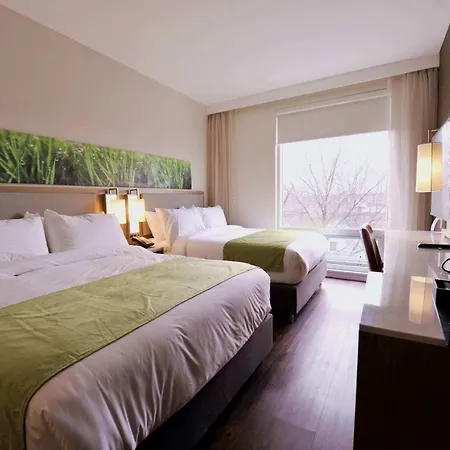 Hotel Wyndham Garden Fresh Meadows Flushing 3*