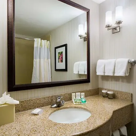 Hilton Garden Queens Jfk 3* New York