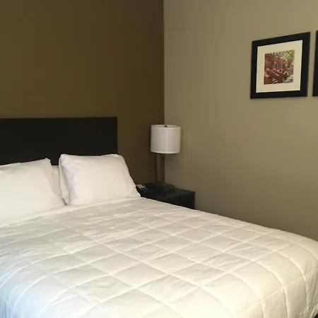 The Williams Hotel