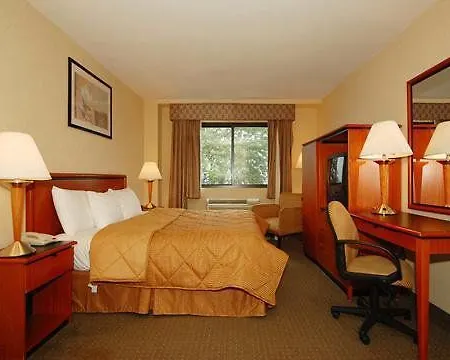 Comfort Brooklyn Hotel New York