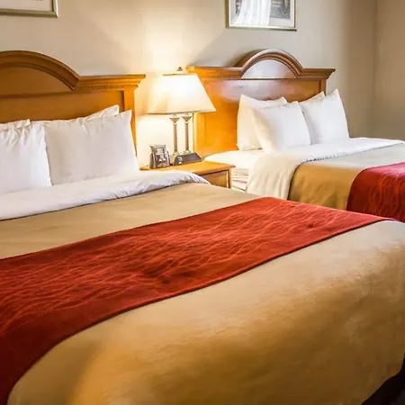 Comfort Jfk Airport 2* New York