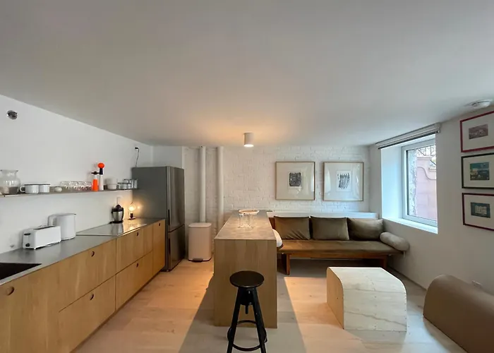 Williamsburg Design Apartment