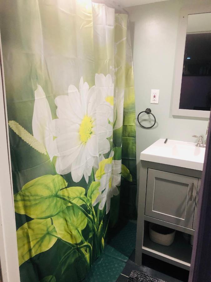 Brooklyn Blue House New York