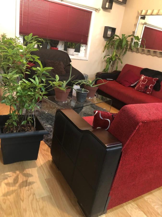 Brooklyn Blue House Hotel