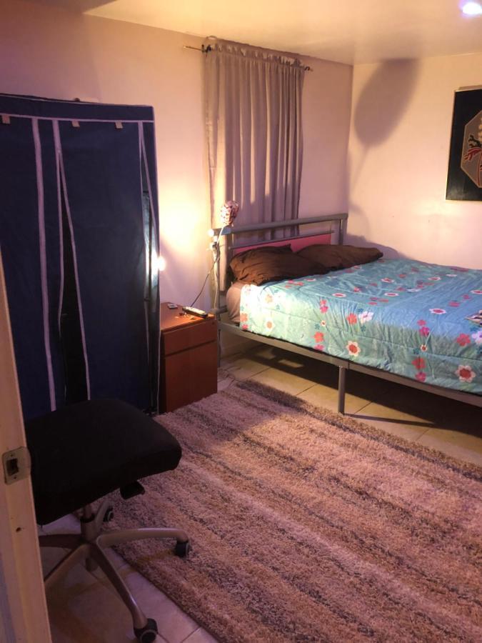 Brooklyn Blue House New York