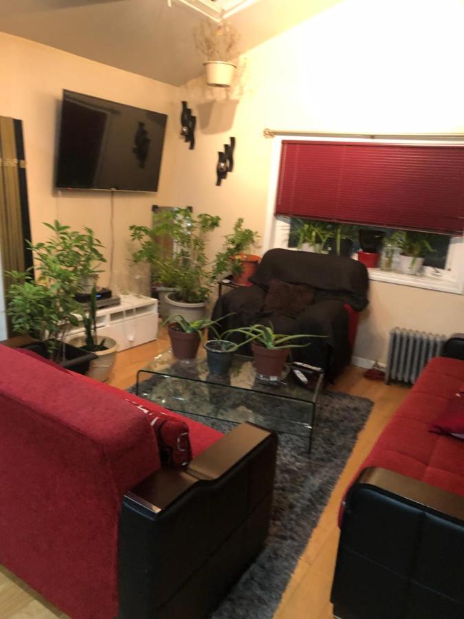 Brooklyn Blue House Hotel New York