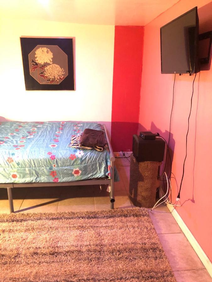 Brooklyn Blue House New York