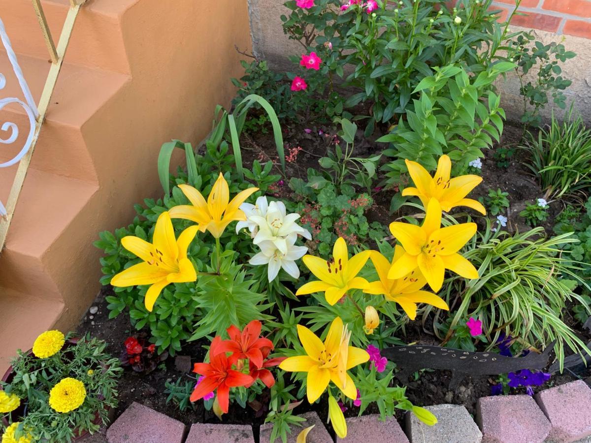 Beautiful Near Jfk And Close To Laguardia Airports Homestay