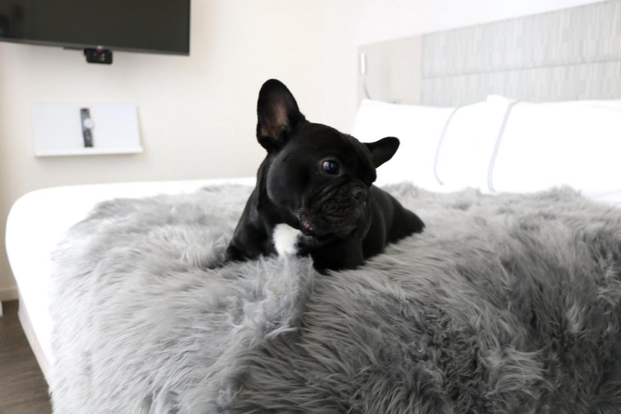 Innside By Melia Nomad Hotel 4*