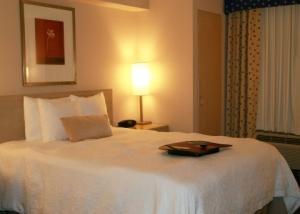 Hampton Manhattan Chelsea Hotel