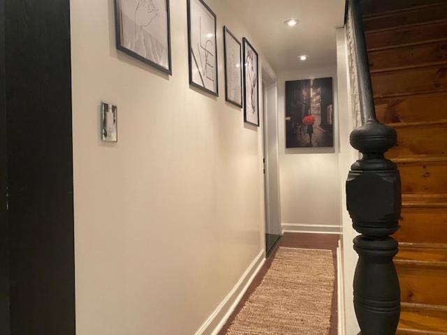 Luxe Brooklyn Getaway Homestay New York