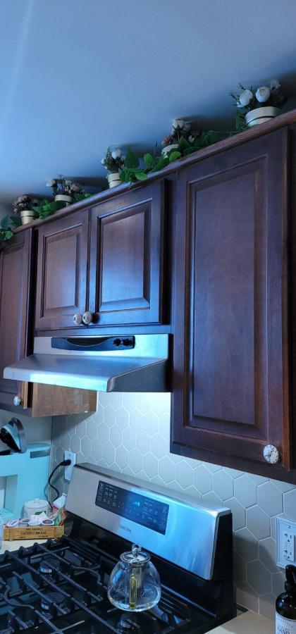 Luxe Brooklyn Getaway Homestay New York