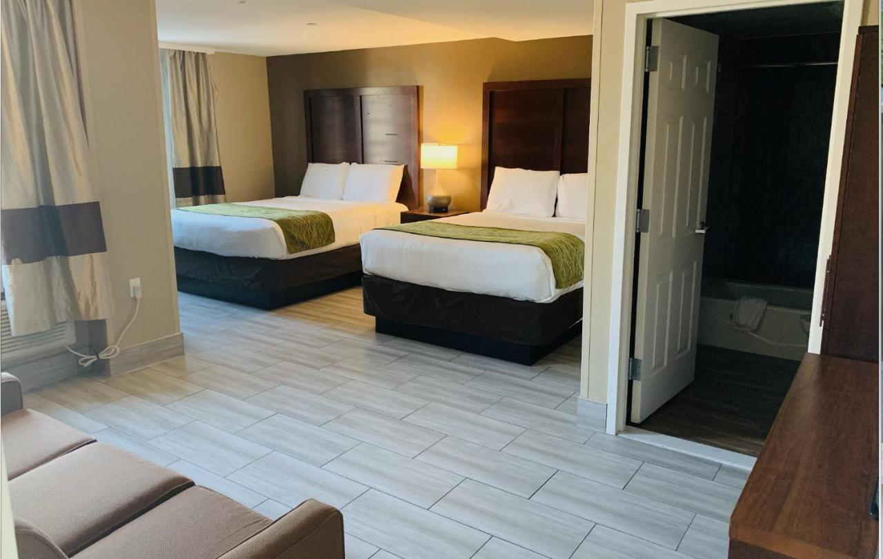 Manhattan View New York