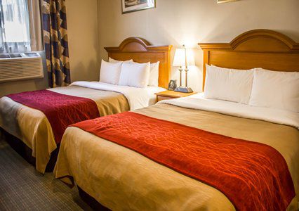 Hotel Comfort Jfk Airport