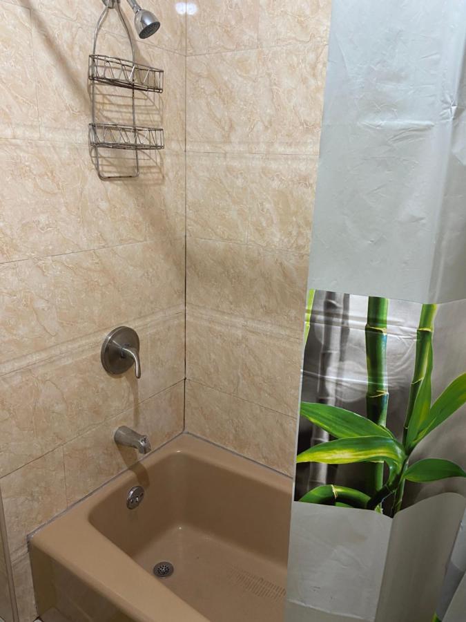 A Beautiful In Queens