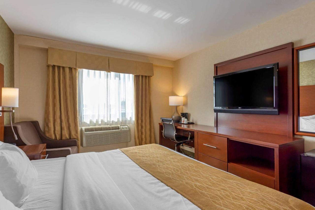 Comfort Brooklyn Hotel