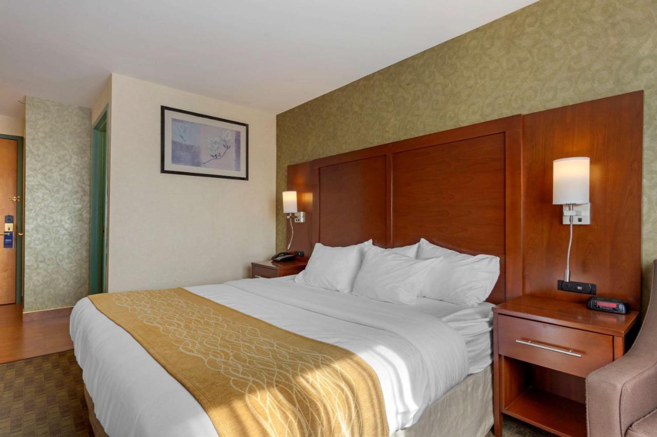 Comfort Brooklyn Hotel New York