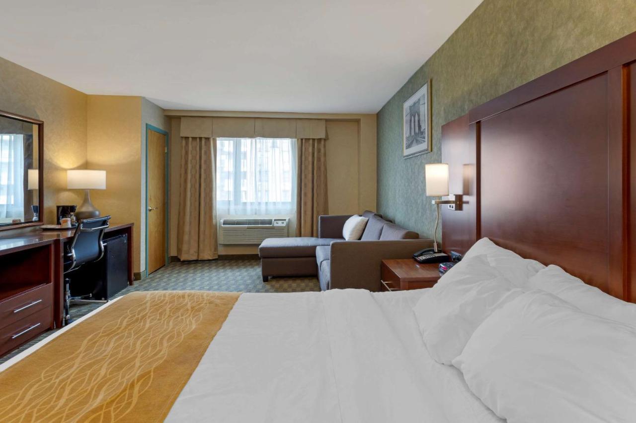 Comfort Brooklyn New York