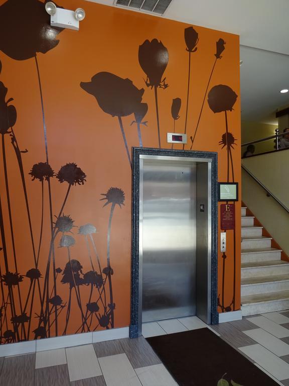 Sleep Brooklyn New York