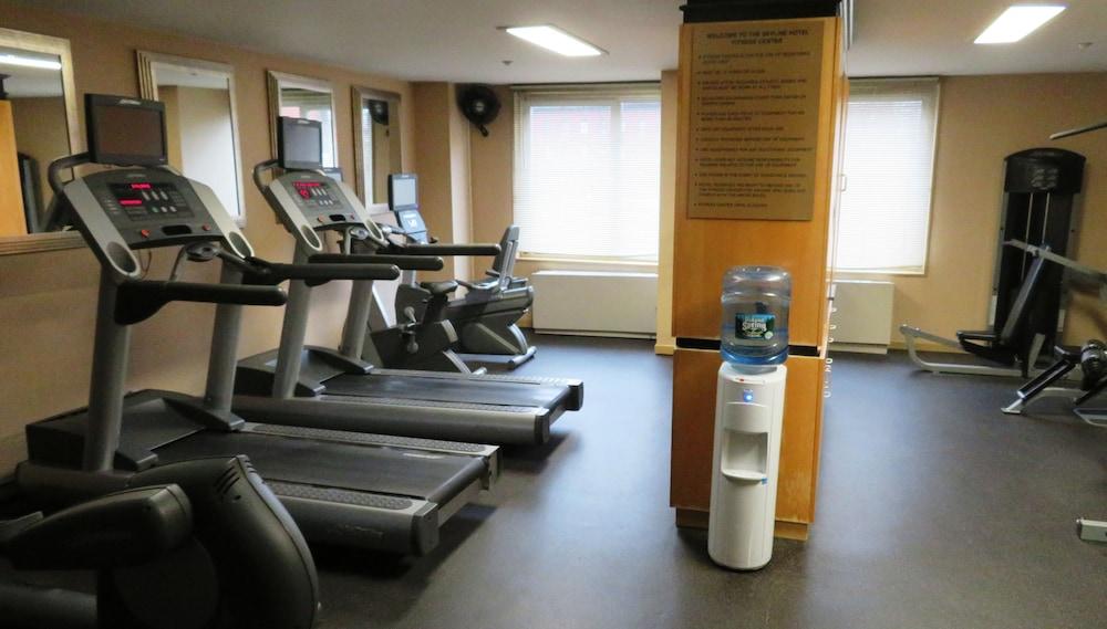 The Skyline Hotel New York