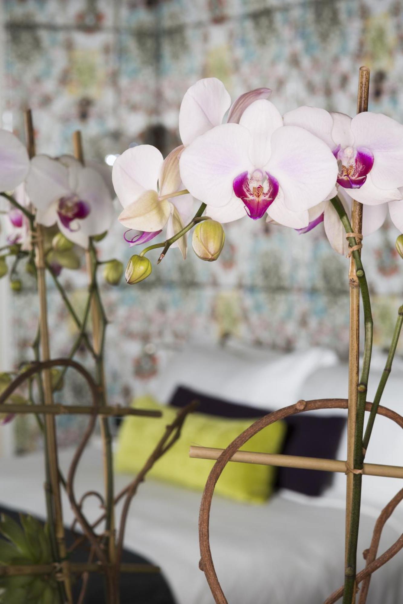 Dream Midtown, By Hyatt Hotel