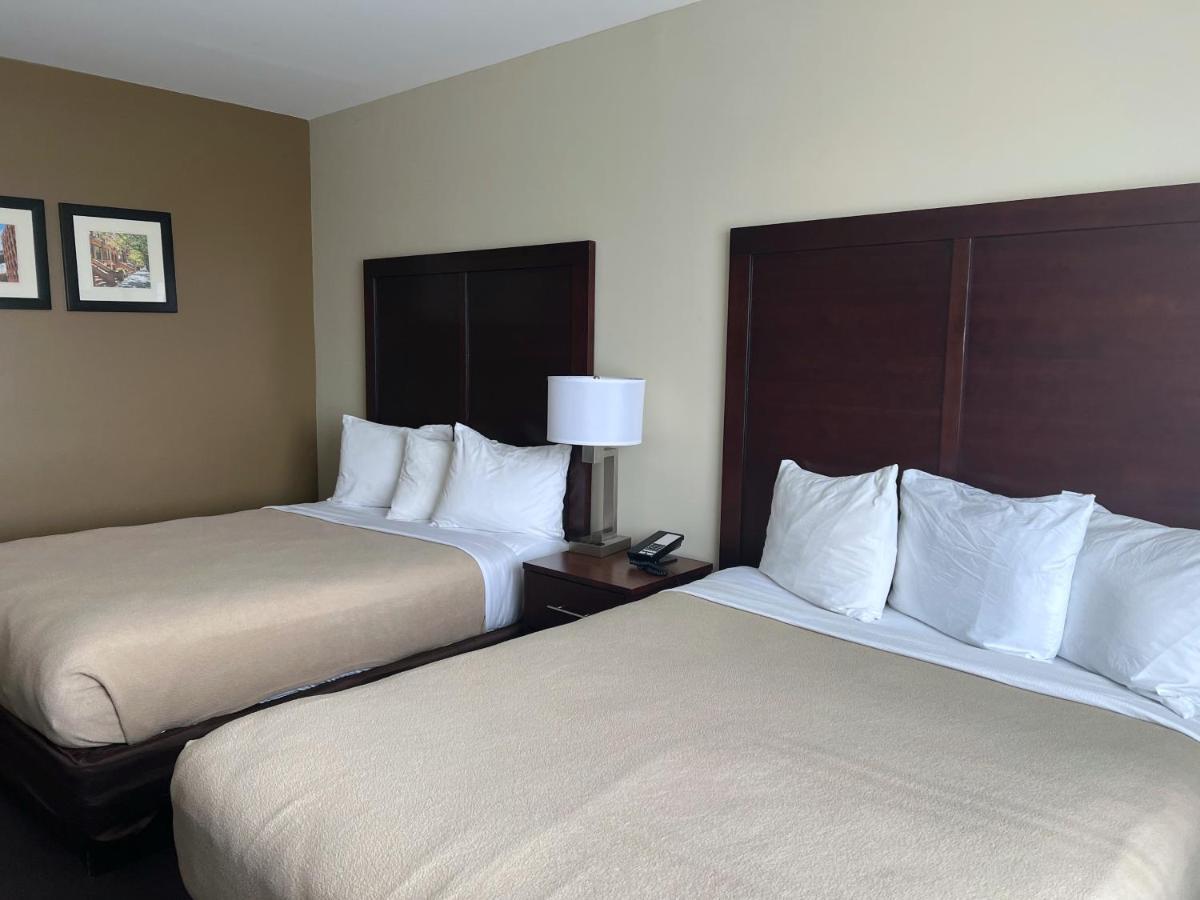 Lotus Blu & 3* New York