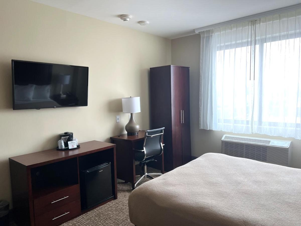 Lotus Blu & New York