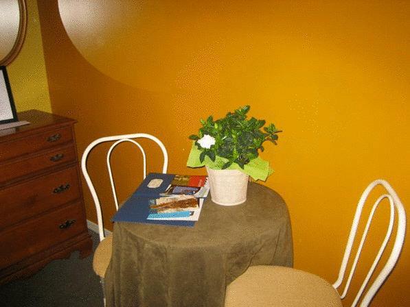 Bronx Guest house 2*