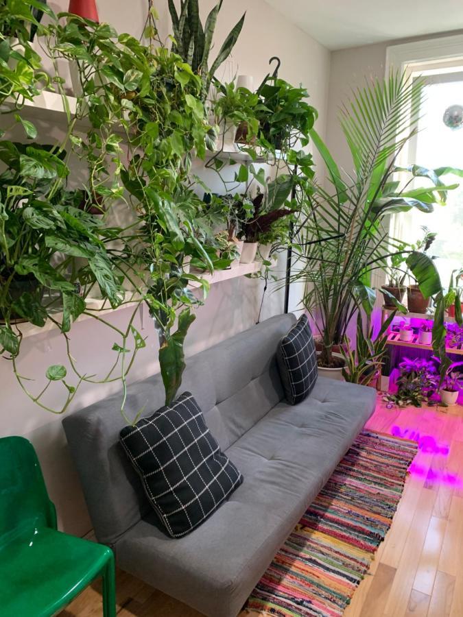 Urban Jungle Oasis In Queens! New York