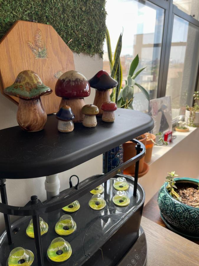 The Penthouse Apartment