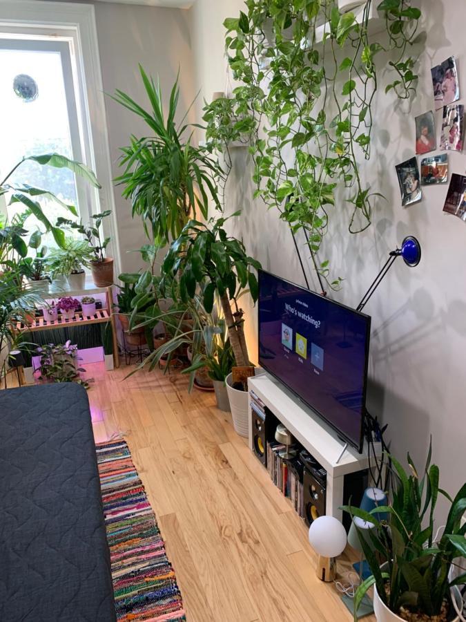 Urban Jungle Oasis In Queens! Séjour chez l'habitant New York