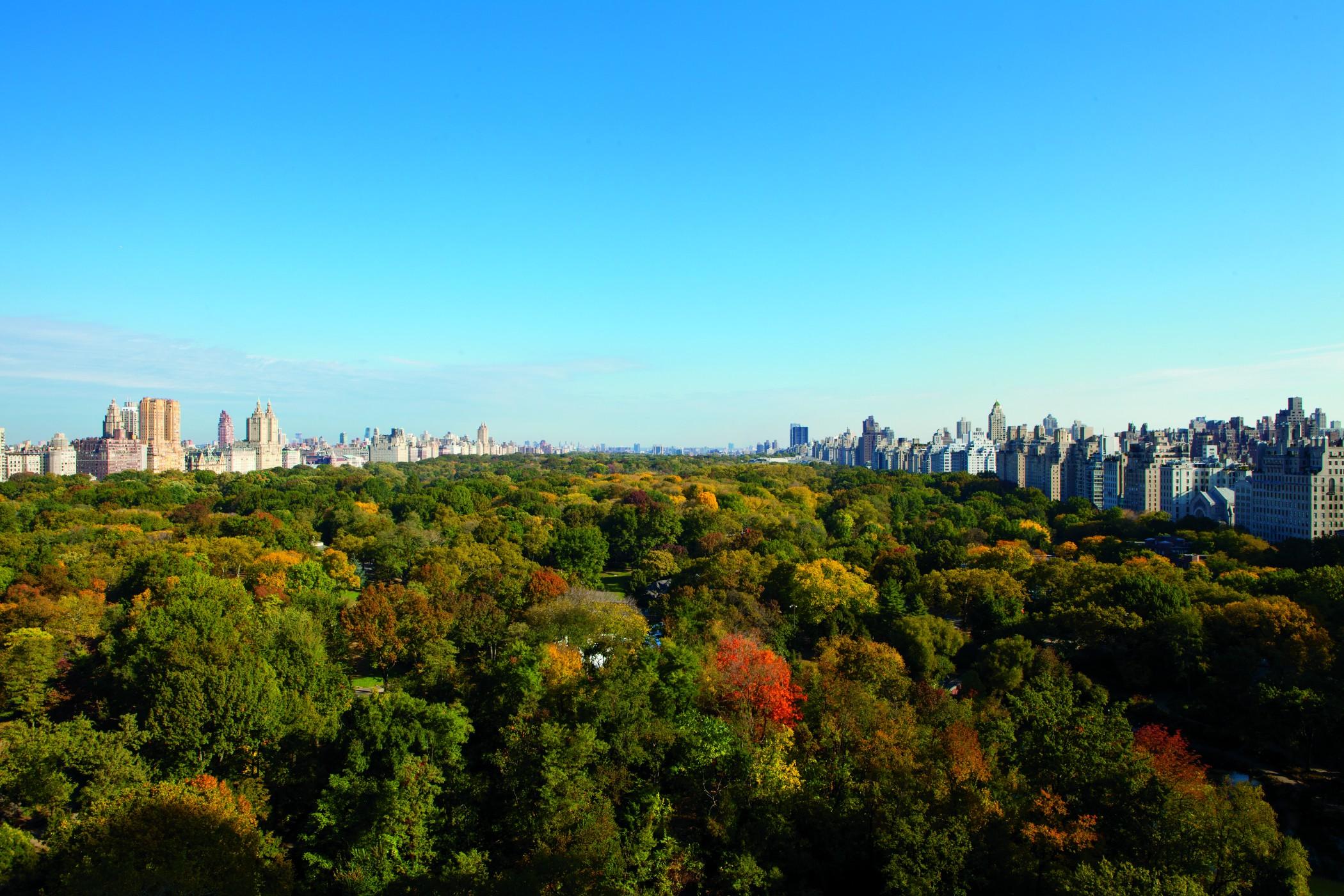 The Ritz-carlton New York, Park Hotel