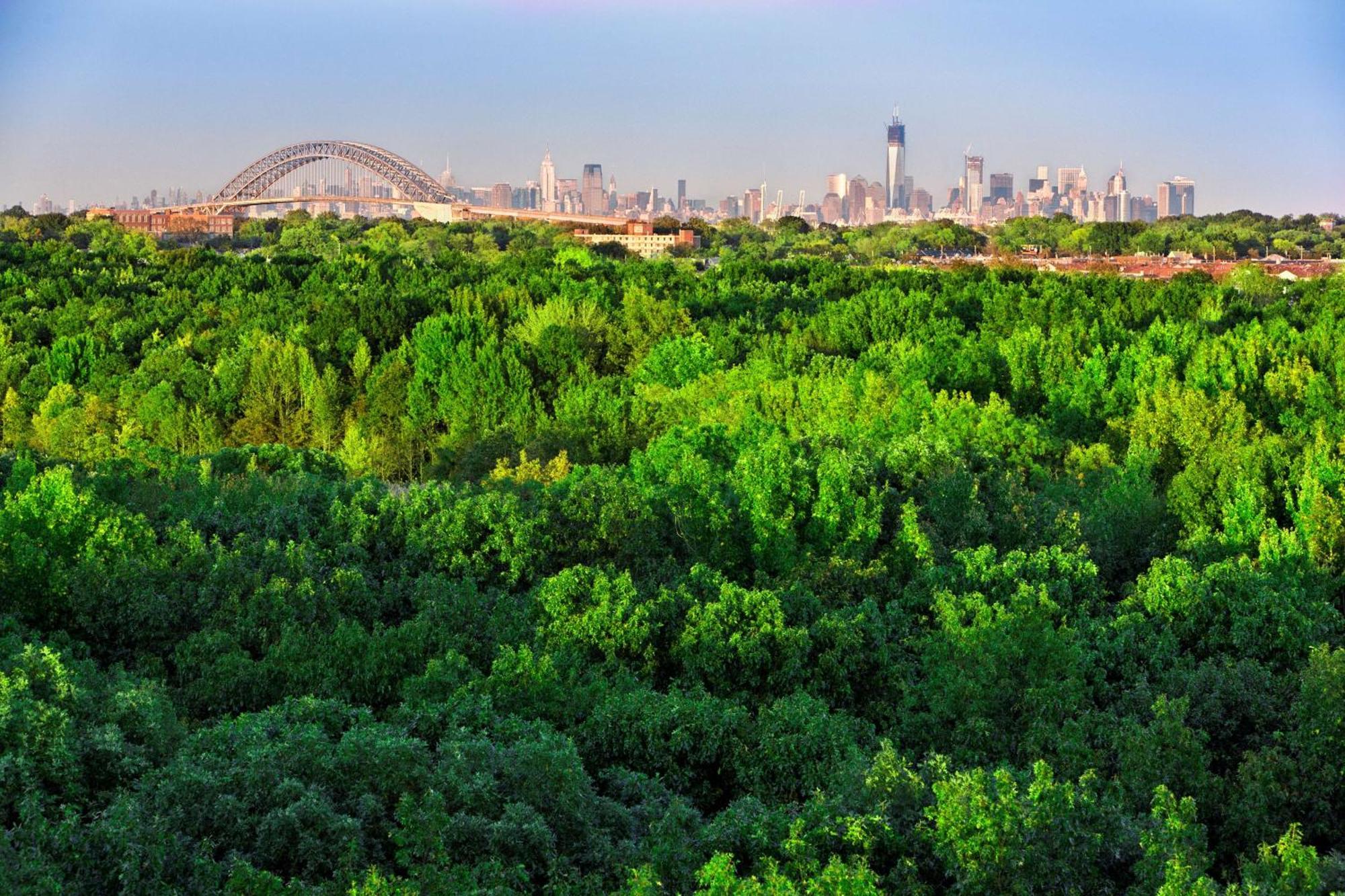 Hotel Hilton Garden New York/staten Island 3*