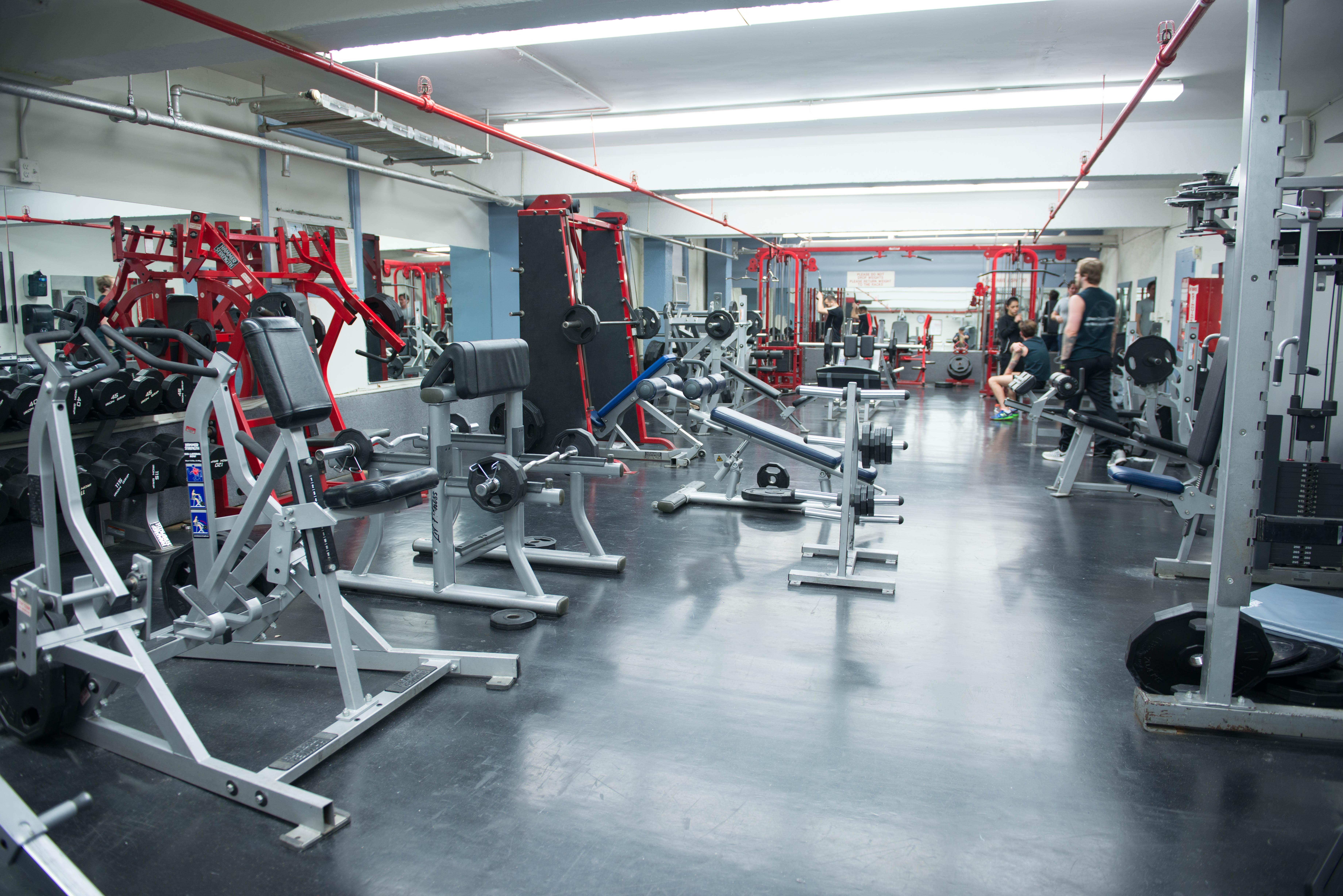 Greenpoint Ymca Brooklyn Hostel New York