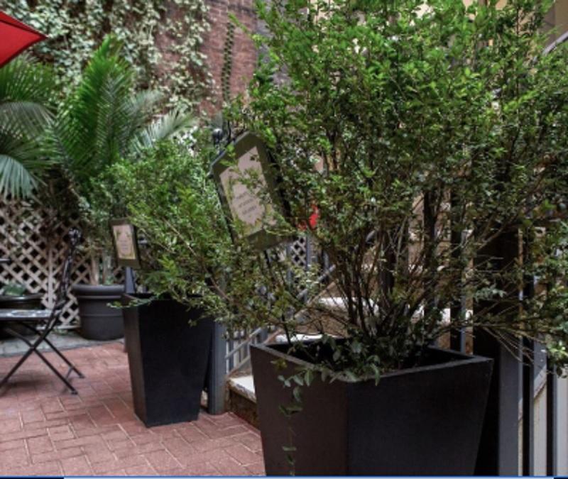 Kasa The Duffy Times Square Hotel