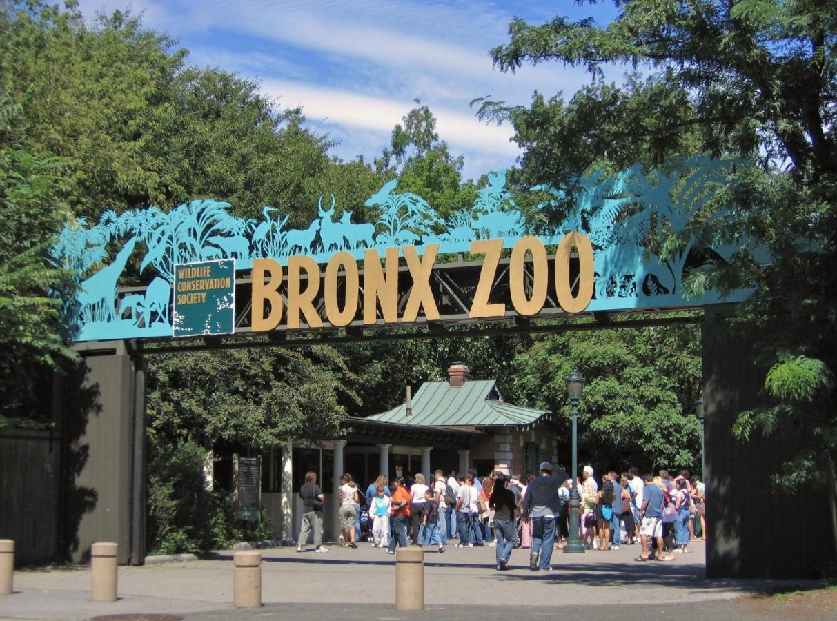 Appartement King Size Bed Fast Wifi 278mbps Bronx Zoo 2 Miles