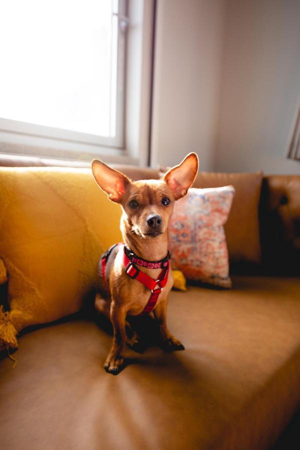 The Modernist Hotel New York