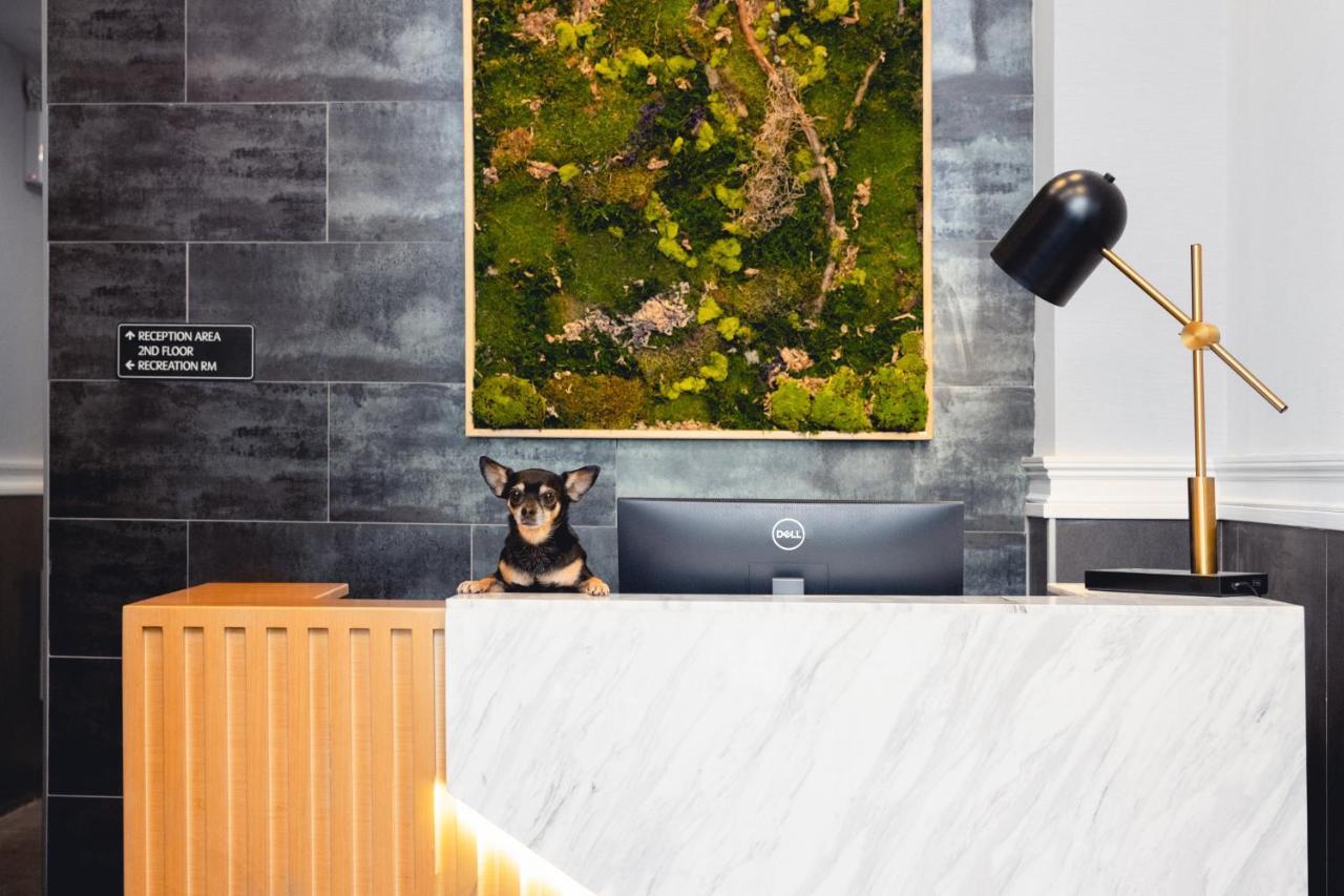 The Modernist Hotel 2*