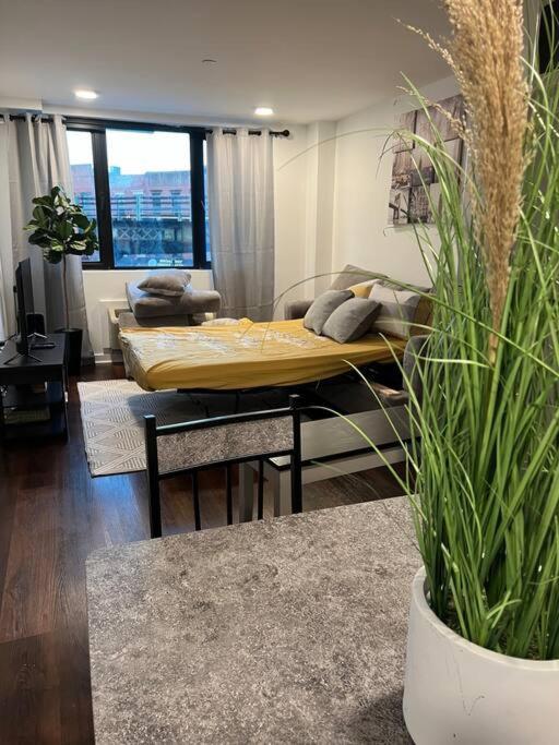 Cozy 1 Bedroom With Outdoor Patio Space *