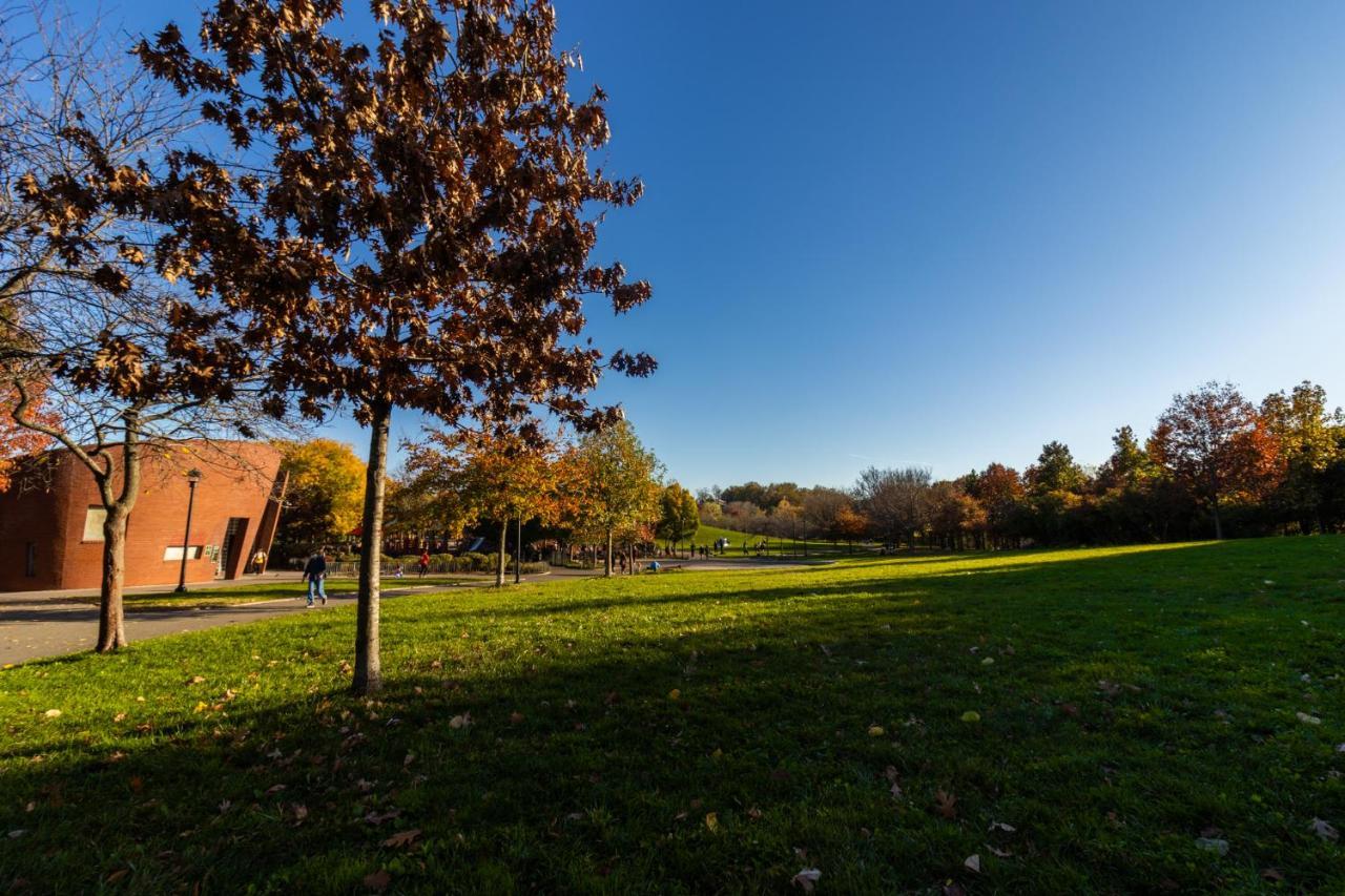 Cozy Shack 1 Bedroom Studio With Sofa And Full Kitchen In Elmhurst Ny New York