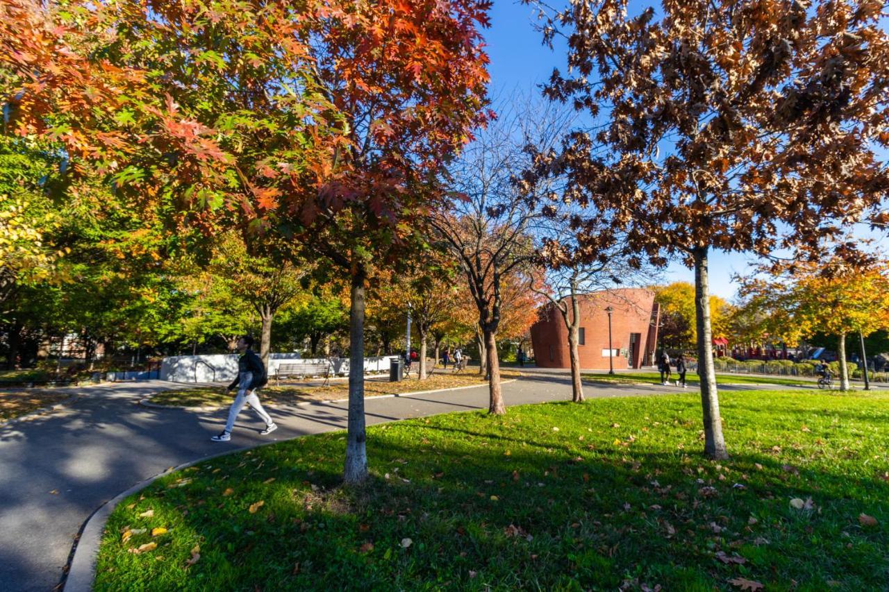 Apartment Cozy Shack 1 Bedroom Studio With Sofa And Full Kitchen In Elmhurst Ny New York