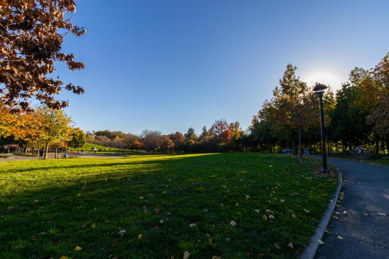 Cozy Shack 1 Bedroom Studio With Sofa And Full Kitchen In Elmhurst Ny New York