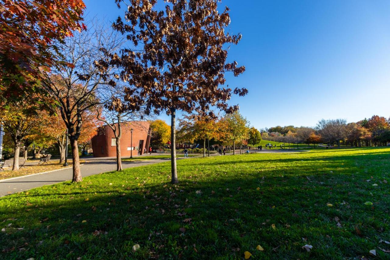 Apartment Cozy Shack 1 Bedroom Studio With Sofa And Full Kitchen In Elmhurst Ny New York