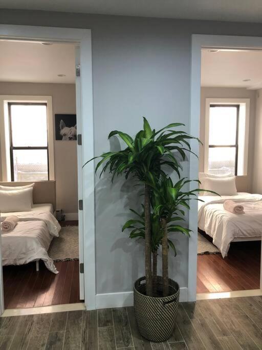 Beautiful 3 Bedrooms * New York